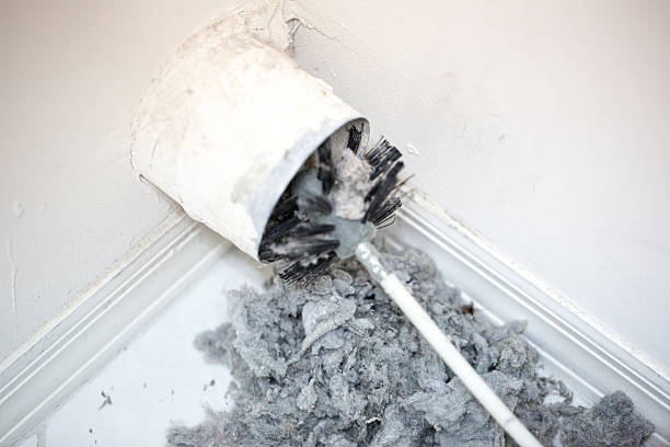 Best Professional Duct Cleaning Services  in Louisville, TN
