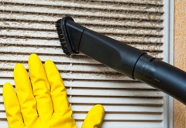 Air Duct Mold Removal in Louisville, TN