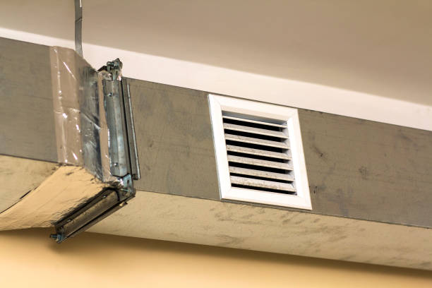 Best Professional Duct Cleaning Services  in Louisville, TN